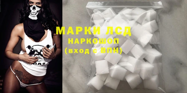 индика Белокуриха