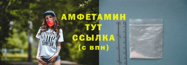 индика Белокуриха