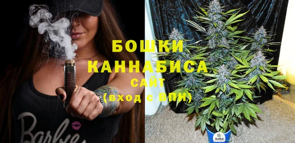 индика Белокуриха