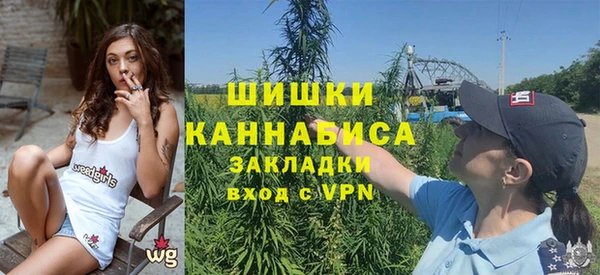 индика Белокуриха