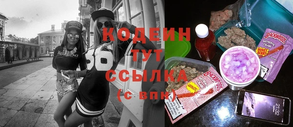 индика Белокуриха