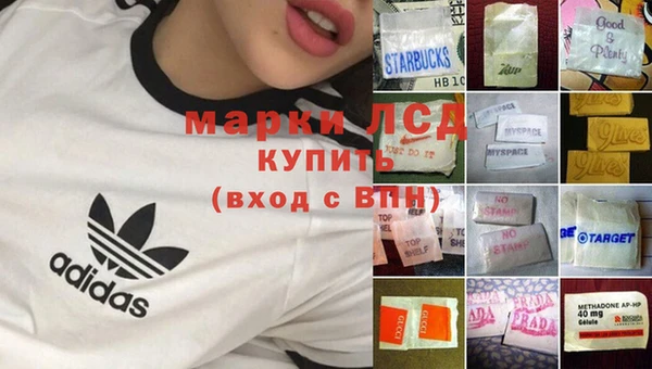 индика Белокуриха