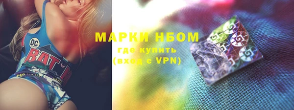 индика Белокуриха